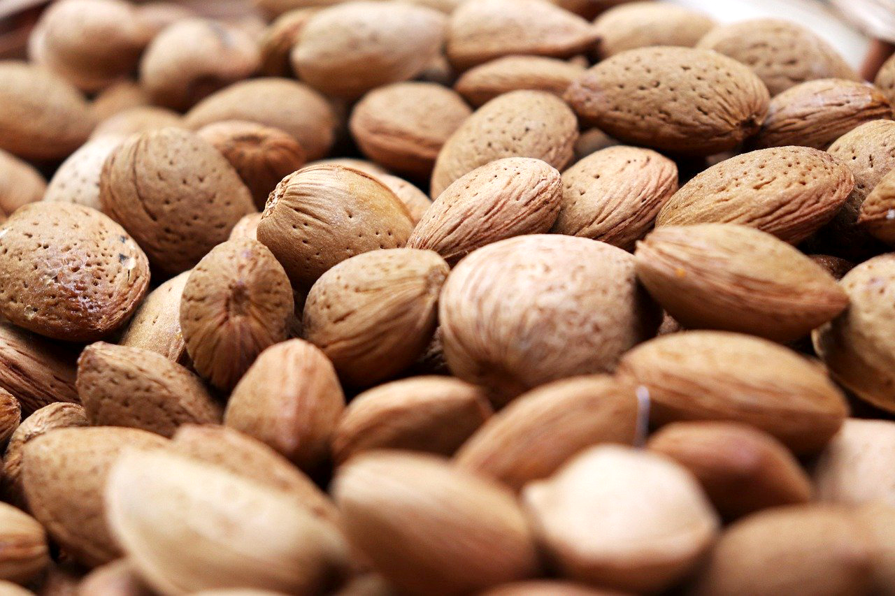 Frutos Secos almonds